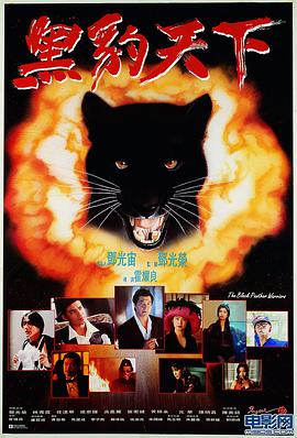 黑豹天下 1993 电影 海报
