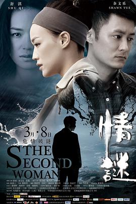 情谜 情謎 2012 电影 海报