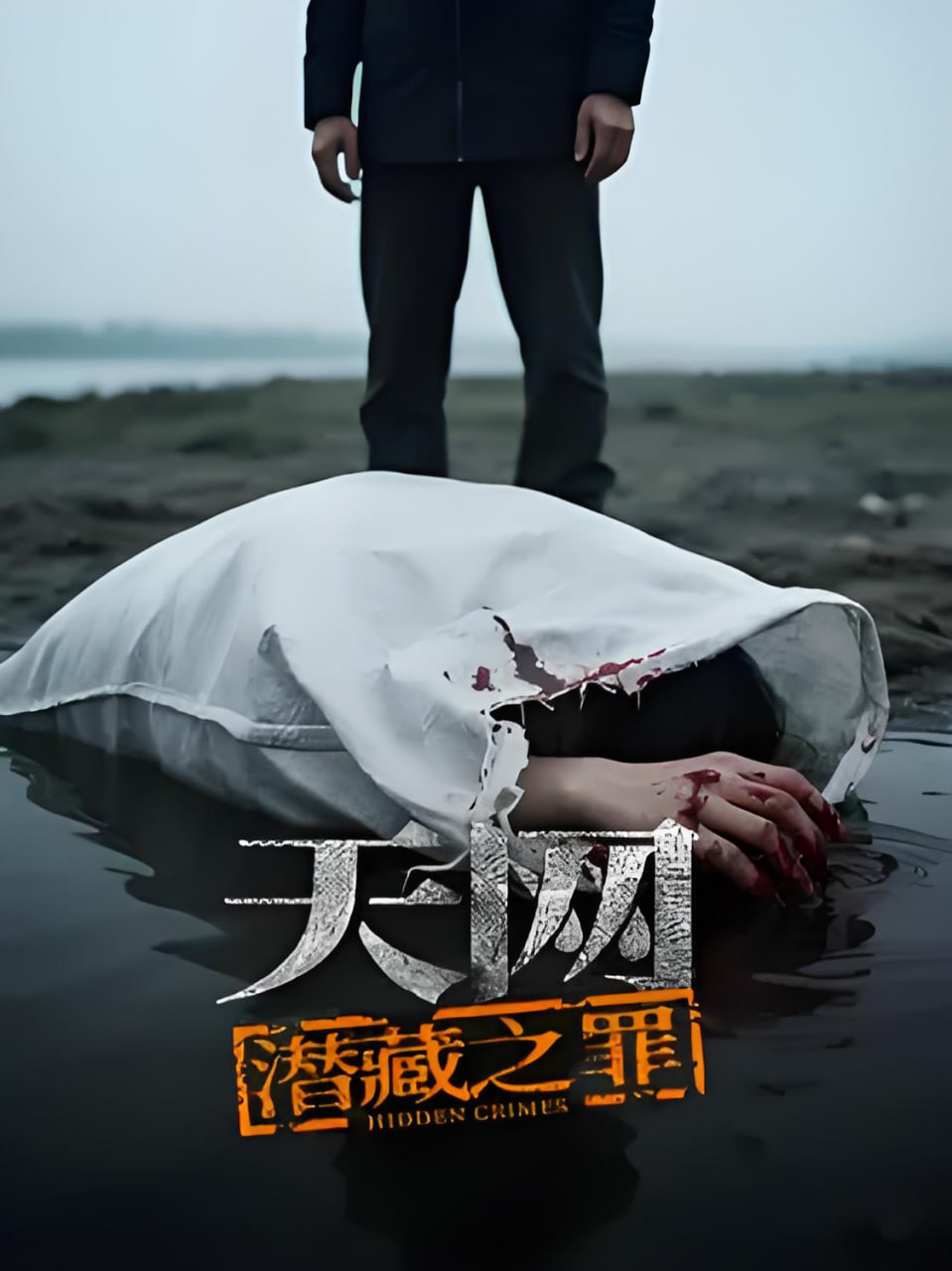 天网：潜藏之罪 2026 纪录片 海报