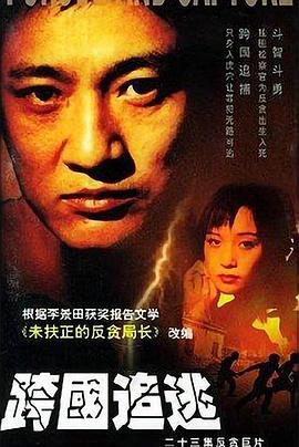 跨国追逃 2002 电视剧 海报