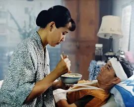 无言的旅程 1996 电视剧 海报