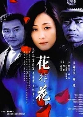 花非花 2002 电视剧 海报