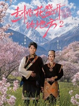 去桃花盛开的地方2 2026 电视剧 海报