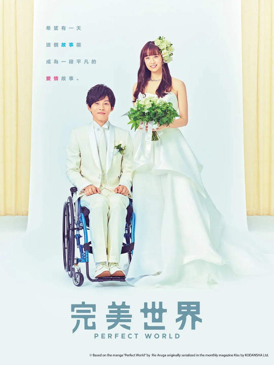 完美的世界 2019 电视剧 海报