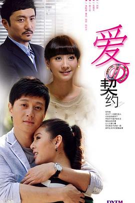 爱的契约 2012 电视剧 海报