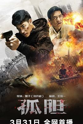 孤胆 2024 电影 海报