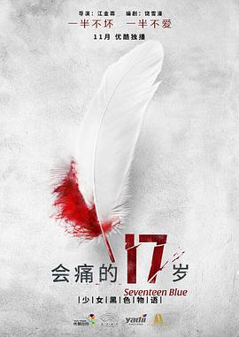 会痛的17岁 2015 电视剧 海报