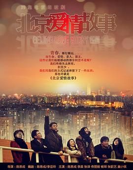 北京爱情故事 2012 电视剧 海报