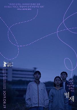 蜂鸟 2018 电影 海报