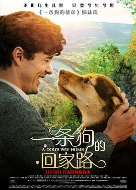 一条狗的回家路(原声版) 2019 电影 海报