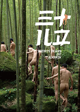三十儿立 2007 电影 海报