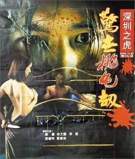 深圳之虎惊世桃色劫 1995 电影 海报