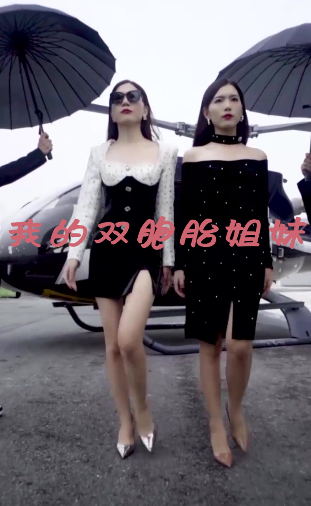 我的双胞胎姐妹 2024 短剧 海报