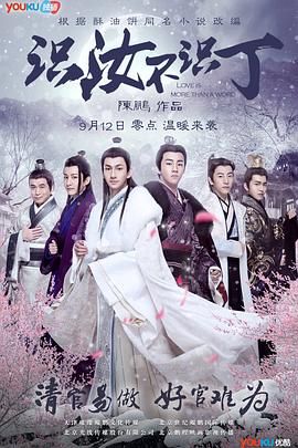 识汝不识丁 2016 电视剧 海报
