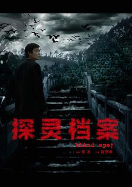 探灵档案 2014 电视剧 海报