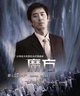 魔方2008 2008 电视剧 海报