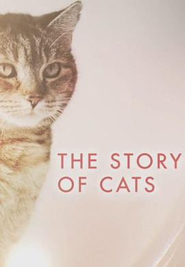 猫科动物的故事 2016 纪录片 海报