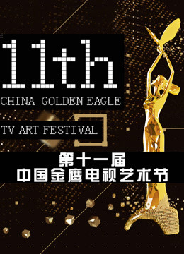 第十一届中国金鹰电视艺术节 颁奖晚会 2016 综艺 海报