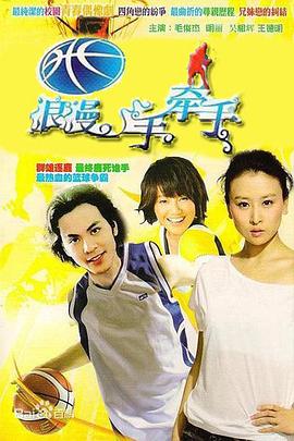 浪漫手牵手 2010 电视剧 海报
