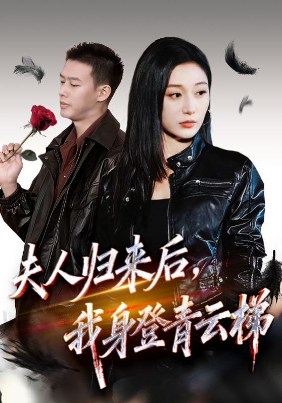 夫人归来后我身登青云梯 2025 短剧 海报