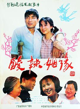 酸辣姻缘 1985 电影 海报