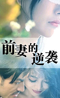 前妻的逆袭 2023 短剧 海报