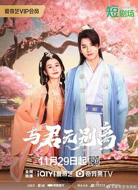 与君无别离 2024 电视剧 海报