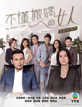 不懂撒娇的女人国语 2017 电视剧 海报
