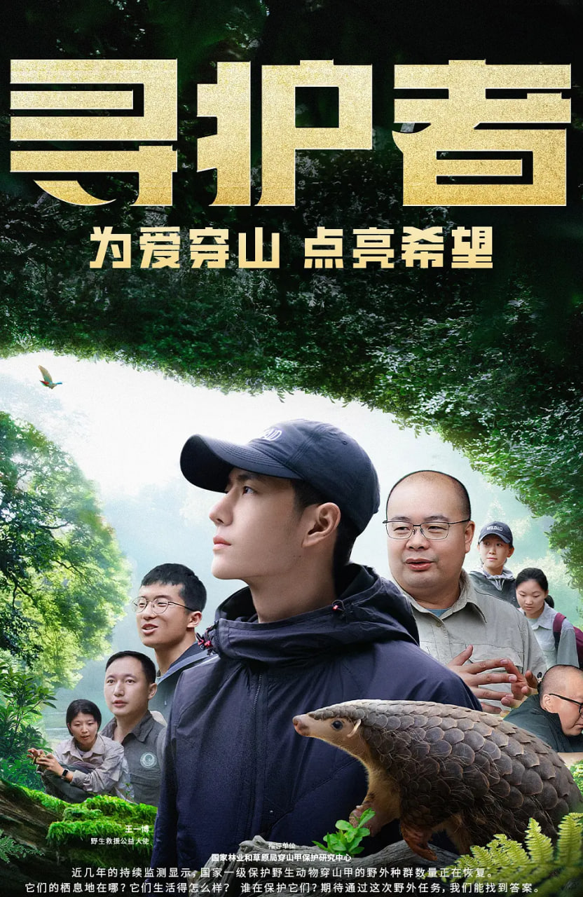 寻护者 2024 纪录片 海报