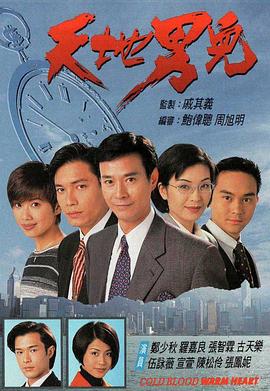 天地男儿 1996 电视剧 海报
