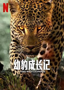 幼豹成长记 2024 纪录片 海报