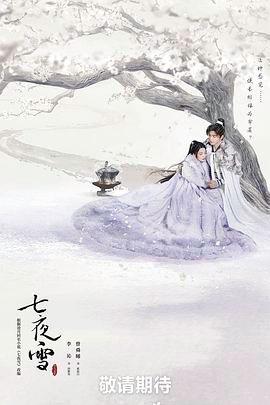 七夜雪 2024 电视剧 海报
