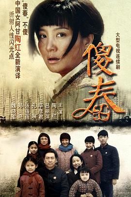 傻春 2011 电视剧 海报