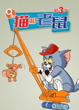 Q版 猫和老鼠 第三季 1990 动漫 海报
