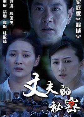 丈夫的秘密 2012 电视剧 海报