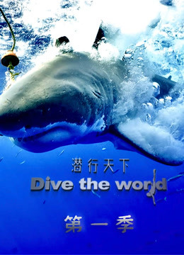 潜行天下 2020 纪录片 海报