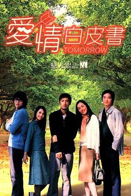 爱情白皮书 2002 电视剧 海报