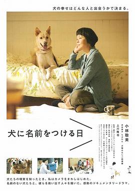 为你取名的那一天 2015 电影 海报