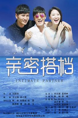 亲密的搭档 2016 电视剧 海报