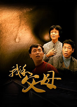 我和父母 2011 电影 海报