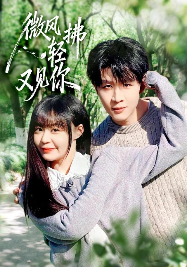 微风轻拂又见你 2026 短剧 海报
