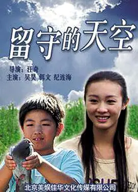留守的天空 2011 电影 海报