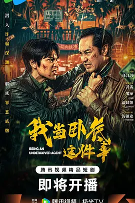 我当卧底这件事 2026 电视剧 海报