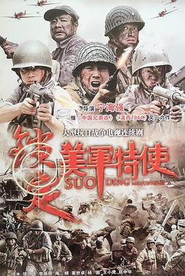 锁定美军特使 2011 电视剧 海报