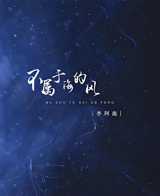 不属于海的风 2025 短剧 海报