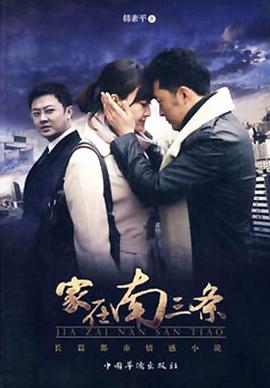 家在南三条 2011 电视剧 海报
