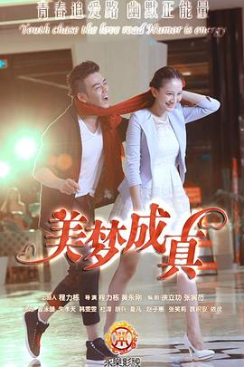 美梦成真2015 2015 电视剧 海报