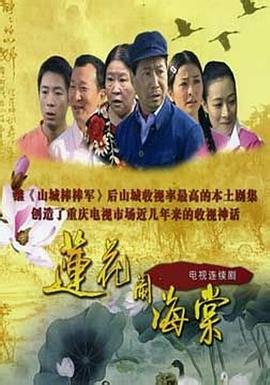 莲花闹海棠 2008 电视剧 海报