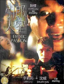 引郎入室1993[电影解说] 1993 电影解说 海报