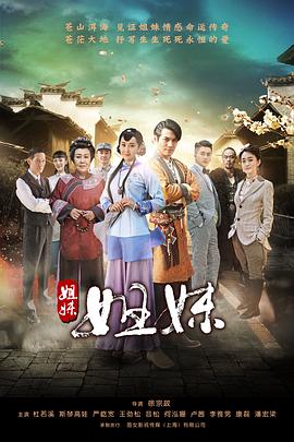 姐妹姐妹 2016 电视剧 海报